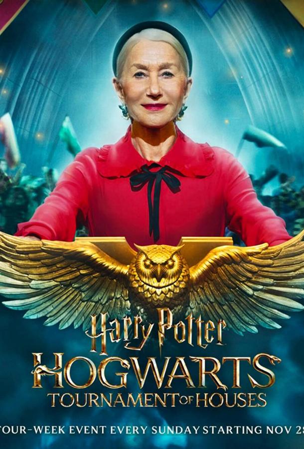 Смотреть Гарри Поттер: Турнир факультетов Хогвартса 1 сезон